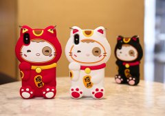 手機(jī)殼對(duì)比手機(jī)套各有什么作用和區(qū)別。